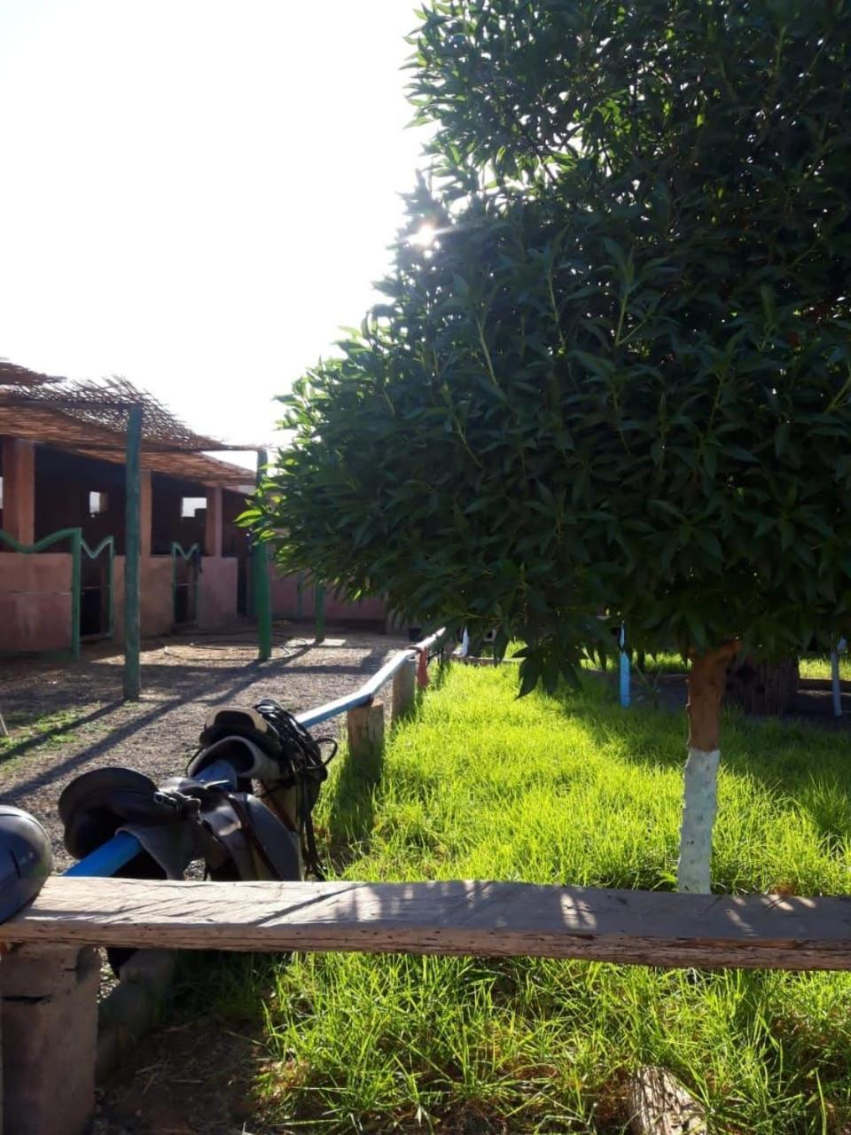 Villa Les Cavaliers Chez Yassine Marrakesch Exterior foto