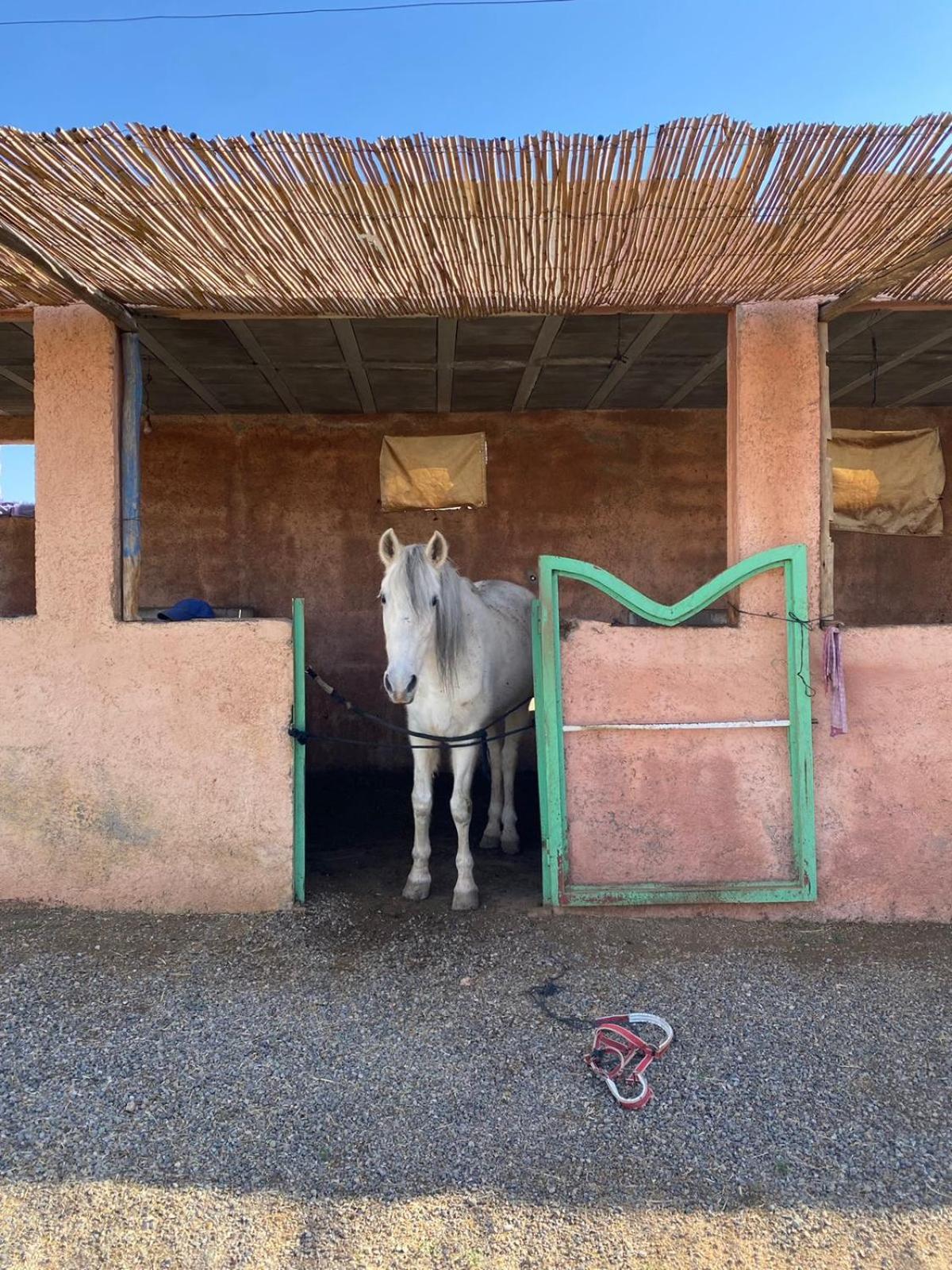 Villa Les Cavaliers Chez Yassine Marrakesch Exterior foto